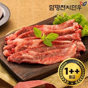 [함평축협] 함평천지한우 1++(7) 업진살 300g