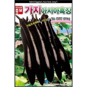 가지씨앗종자 흑장가지(200립)