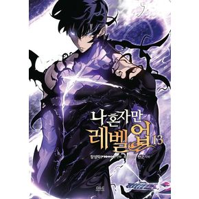 나 혼자만 레벨업 13(만화)