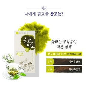 중외제약 창포휴 허브 2호 연한흑갈색 80g 친환경 프리미엄 새치염색약