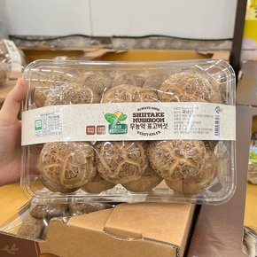 트레이더스 무농약 표고버섯 500g