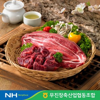 무진장축협 명품장수한우 1등급 이상 사태(500g)