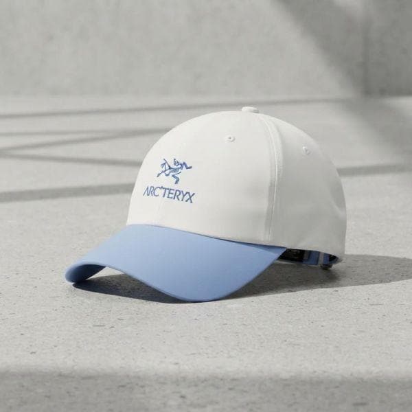 확대된 대표 아크테릭스 버드 워드 캡 AEPFU09463 ARK BIRD WORD CAP