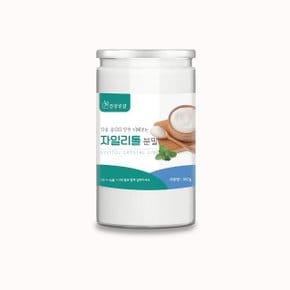 건강공감 자일리톨 분말 밀폐통 600g (WD432EB)