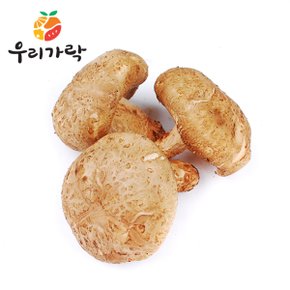 표고버섯 4kg (국산)