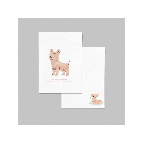 시그니처 엽서_오렌지 댕댕이