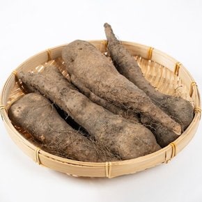안동 산마 1kg 상품