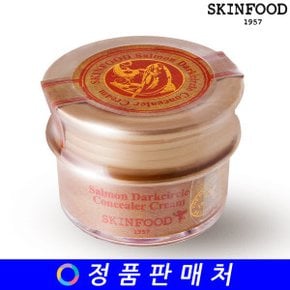 연어 다크서클 컨실러 크림 10g