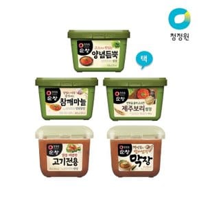 쌈장(PET) 5종 골라담기 (고기전용/참깨마늘 등)