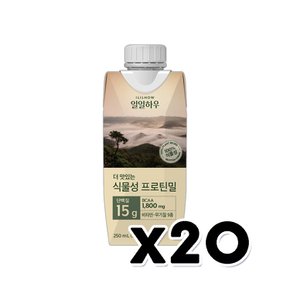 일일하우 마시는식물성프로틴밀 비건음료 250ml x 20개