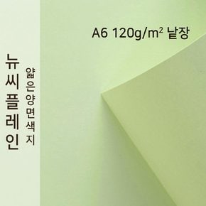 종이문화 뉴씨플레인 얇은 양면색상지 120g A6 No.02 연비취 낱장 1매 색지