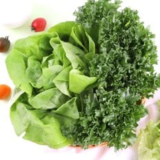맛딜 GAP인증 신선가득 유러피안 3종 모듬채소 600g 유럽채소