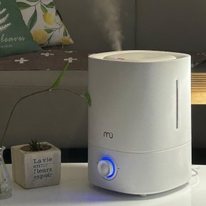 초음파 대용량 가습기 6L 간편세척 통세척 저소음 무드등 미니 가습기 COCO-RN226H