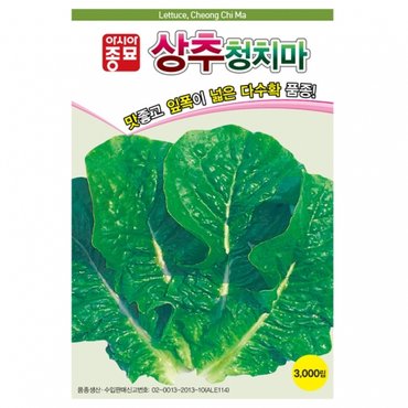 아시아종묘 상추씨앗종자 청치마(6만립)