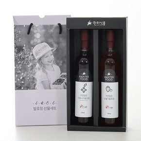 국내산 새콤달콤 수제발효 산딸기청 아로니아청 세트, 500mlx2ea