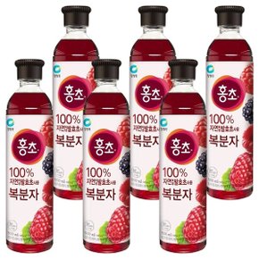 대상 청정원 홍초 복분자 900ml x 6개