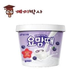 요맘때홈 블루베리 6개 대용량 업소용 초등 아이스크림