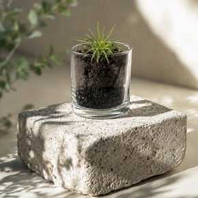 숨쉬는 숯정원 이오난사 DIY 키트