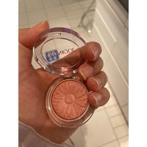 [해외직구] 크리니크 블러셔 NO.19 3.5g CLINIQUE Blusher 3.5g NO.19 7THL-19-YA5D