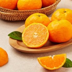  당도선별 서귀포 카라향 (1.8kg)