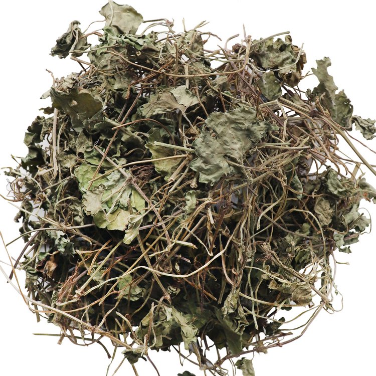 동의한재 자연산 국산 금전초 긴병꽃풀 병꽃풀 연전초 3kg, 믿고 사는 즐거움 SSG.COM