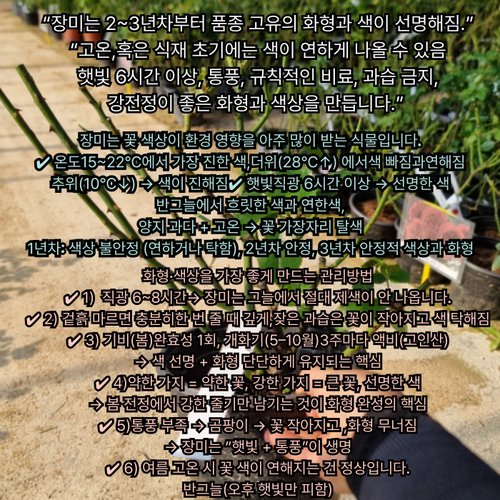 추가이미지2