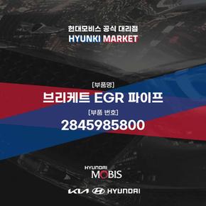 브리케트 EGR 파이프 (2845985800)