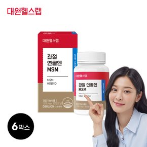 대원헬스랩 관절 연골 MSM (6박스/6개월분)