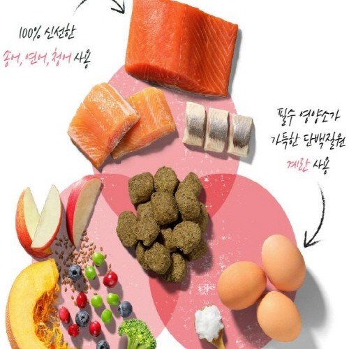 추가이미지