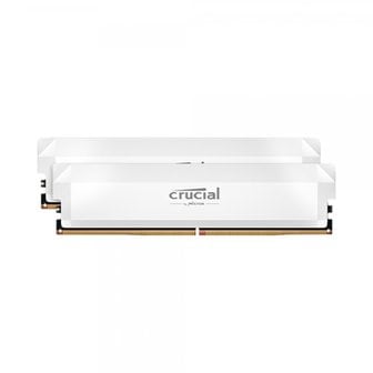  마이크론 Crucial DDR5-6000 CL36 PRO Overclocking White 패키지 대원씨티에스 (32GB(16Gx2))