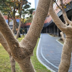 녹화마대 (주트테이프,녹화테이프)