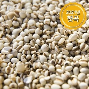 (논앤밭위드) 2021년 햇곡 율무(국산) 1kg (W9F1AF3)