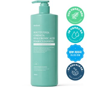 어성초 히알루론산 대용량 폼클렌징 500ml x 1개 약알칼리 클렌징폼 세안제 폼클렌저 거품