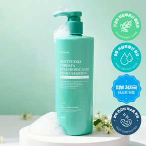 어성초 히알루론산 대용량 폼클렌징 500ml x 1개 약알칼리 클렌징폼 세안제 폼클렌저 거품
