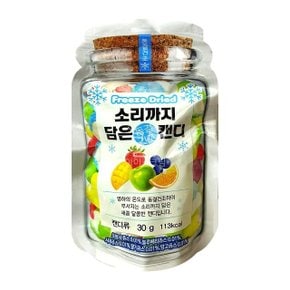 소리까지 담은 동결건조캔디 30g 1개 (WD9C292)