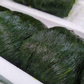 국내산 완도 냉동 매생이 1kg