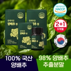 국산 양배추정 캐비지 양배추환 양배추즙 분말 비타민U 효능 90정 2+1개 9개월분