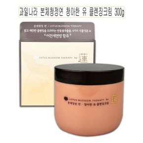 과일나라 본체청정연 청아한 유 클렌징크림 300g -O_WA9535F