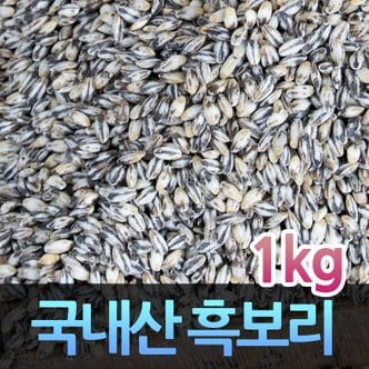 고인돌 H국내산 잡곡 흑보리쌀 검정보리 흑보리 1kg