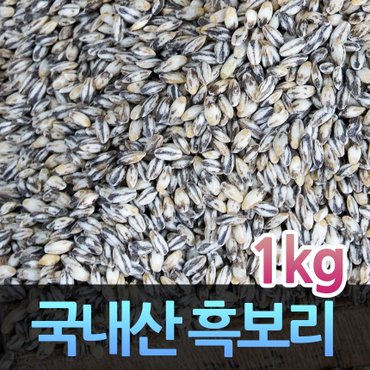 고인돌 H국내산 잡곡 흑보리쌀 검정보리 흑보리 1kg