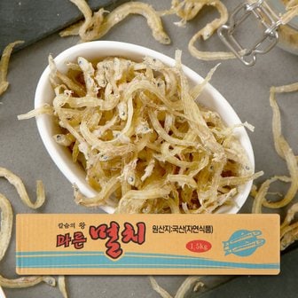 너트리 실치 멸치 1.5kg 국내산 중사이즈