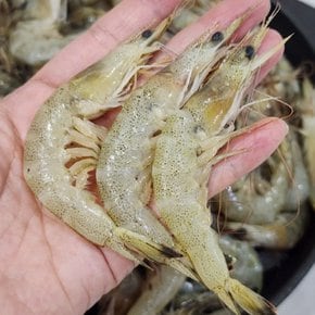 중하새우 깐새우 칵테일새우 250g