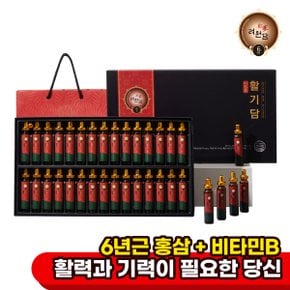 6년근 홍삼앰플 활기담 30병 / 쇼핑백 선물세트