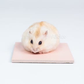 모자이크 타일 바닥매트 핑크 햄스터 바닥깔개 쿨매트