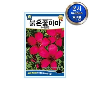 붉은꽃 아마 스칼렛 씨앗 1g . 빨간색 일년생 야생화 꽃 꽃씨 봄 파종 종자