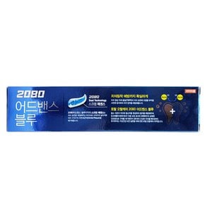 2080 어드밴스 블루 치석케어 치약 120g