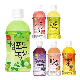  웰그린 340ml 24개 자두녹차 복숭아녹차 레몬 블루베리 애플망고 녹차 음료수