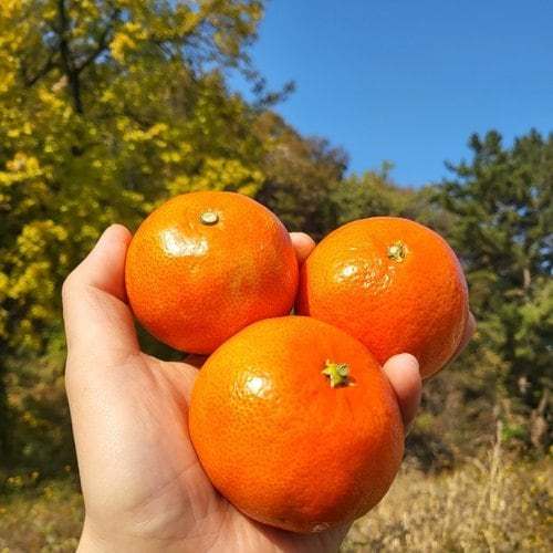 상품이미지2
