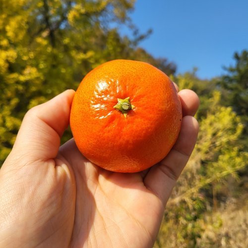 상품이미지3