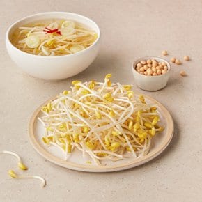 맛있는 콩나물 400g